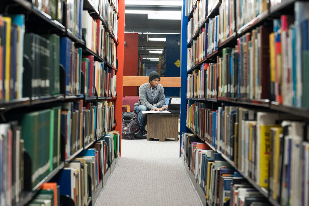 a student studies in the HSU library