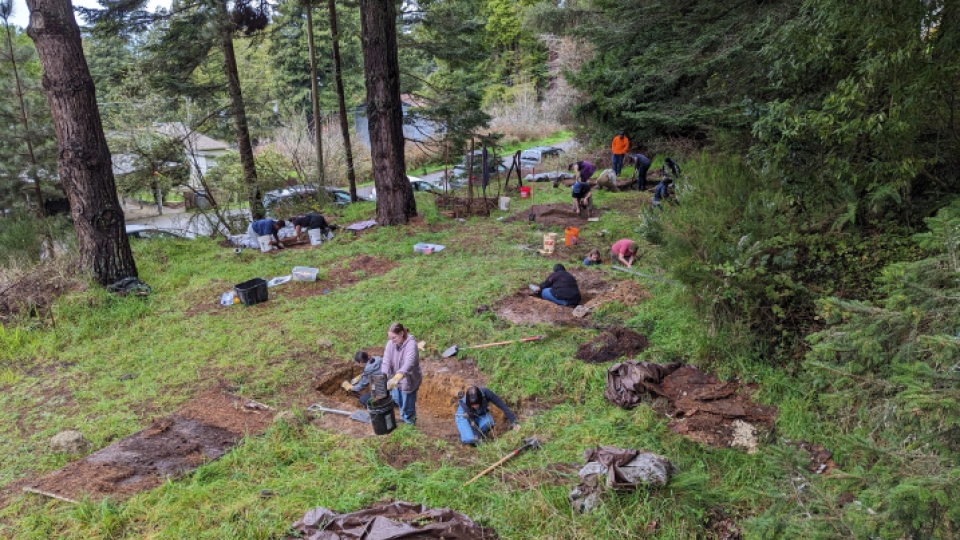 Archaeology Students in the field doing research.