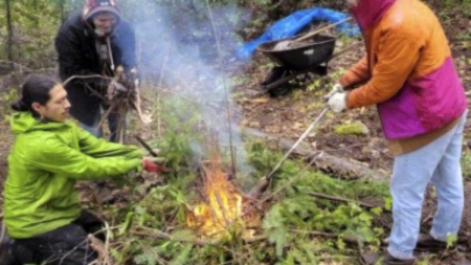 Three students making a fire in the forest.