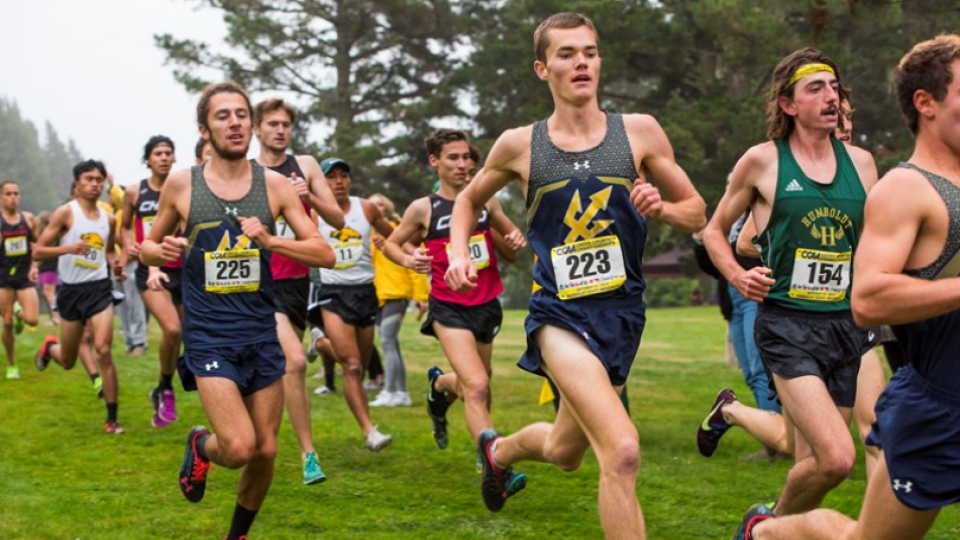 Runners from many different schools in a cross country race on grass.