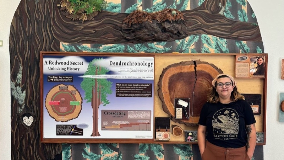 A female student standing in front of a tree exhibit at the Natural History Museum in Arcata, CA.