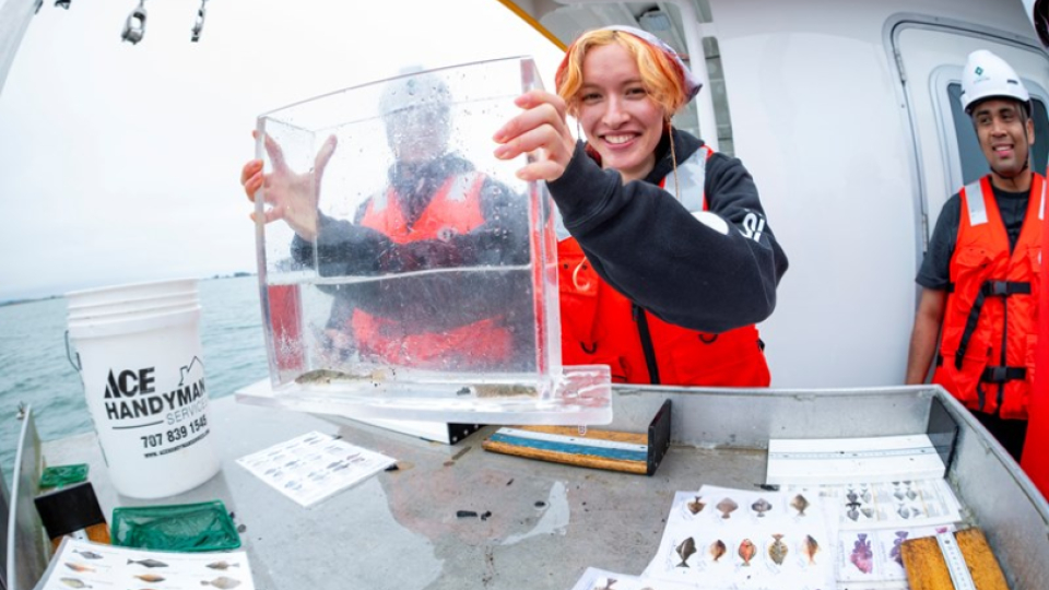 Three fisheries students on a boat holding up a sample of water with a small fish in it.