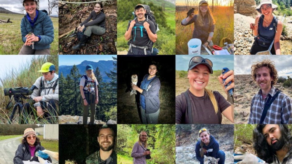 A collage of 15 wildlife students.
