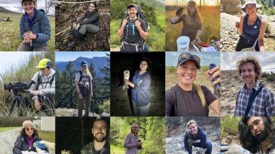 A photo collage of 15 Wildlife Graduate students.