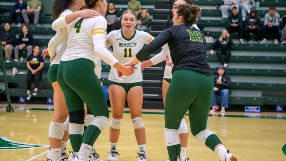 Four women's volleyball players in a huddle on the court.