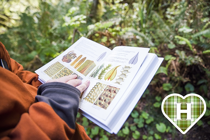 Student looking at biology book in the forest