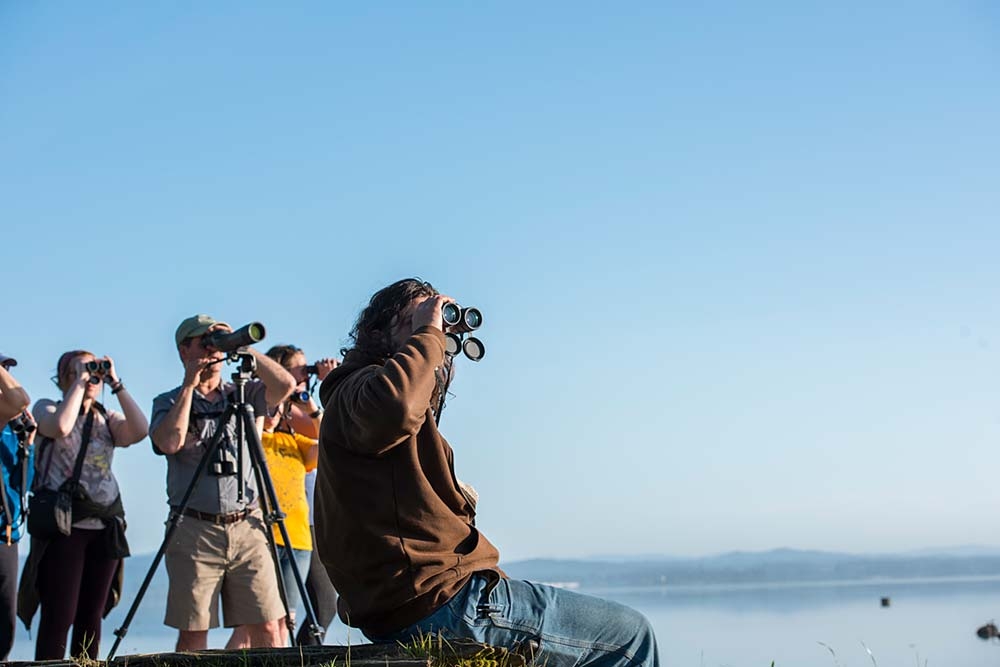 Students using binoculars